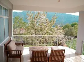 EliMeliVELAJ