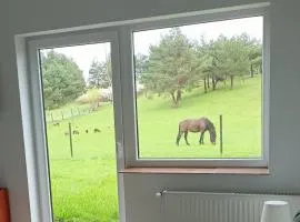 Pokoje gościnne Trąbki Małe k.Gdańska