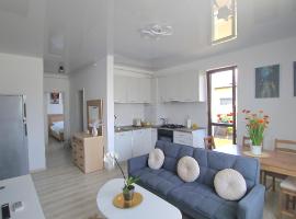 Cozy SoRaDa 2 apartment, hotel in Bragadiru