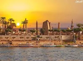 A private tour of the Nile to watch the sunset by boat and then to Banana Island