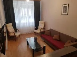 Cozy apartment in the city center