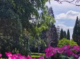 Vicolo d'Este