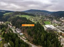 Zielony Las, Sun & Snow