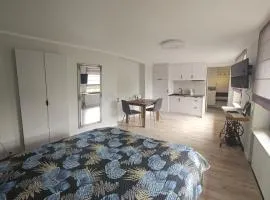 Apartament Wierzbowa - Pod Orzechem