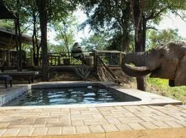 Khanya Conservation Camp