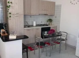 casa Andreea