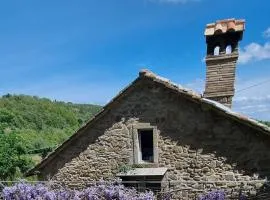 Tenuta la Scure il focolare