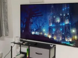 Royal PALMS 3, #1043