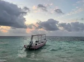 Home's Jungle Puerto Morelos Cancun 20 Minutes from the Airport