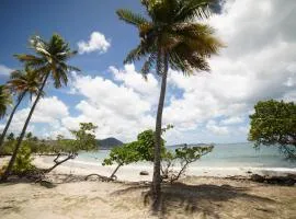 Félix, T2 accès plage Gros-Raisins Sainte-Luce