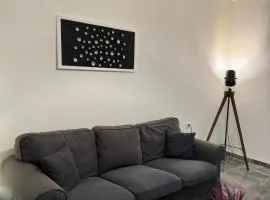 Central Elegant Flat