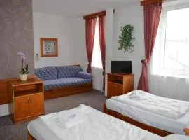Hotel Peliny