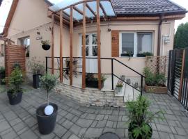 Casa LADIS, holiday rental in Iernut