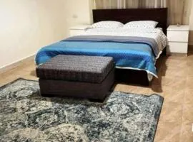 Furnished apartment for rent