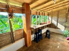 Hostel La Ballena Backpacker