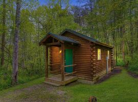 Blue Rose Cabins - Cozy Cabin, hotel with parking in Logan