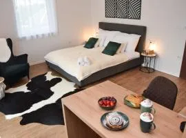 Silentium Premium Apartman Sárvár