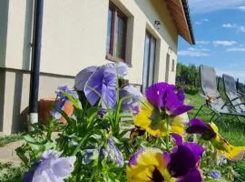 Noclegi u Babci Gieni