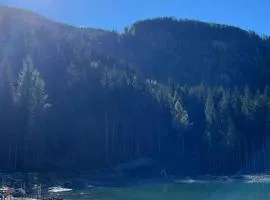 Ferienwohnung Collie