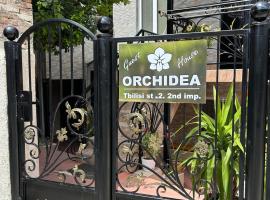 Orchidea Guest House, hostal o pensió a Kutaisi