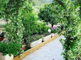 Appartamento in Villa Gelsomino