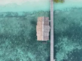 TABARI DIVE LODGE、Pulau Mansuarのシャレー