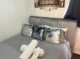 Lux 1 bedroom and a private bathroom in a shared flat with free parking and Netflix