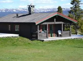 Lifjellhytte 10 by Norgesbooking - cabin at Golsfjellet