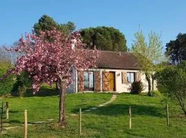 Maison charmante à Seigy, vue sur jardin, accepte animaux.