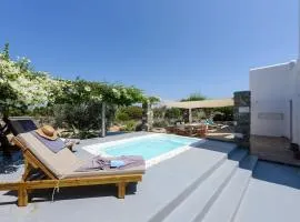 SeaSalt Dream Villa,Santa Maria 5 min from Naousa