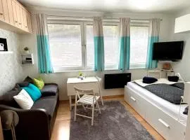 Apartment Schladming mit Sauna und Pool