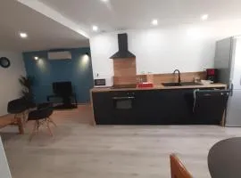 Appartement 50m2 rez de chaussée en plein centre ville garage gratuit