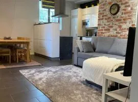 Säynätsalo Apartment