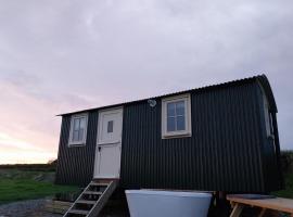 Cosy Shepherds hut in Carmarthen, hotel u gradu Llanfynydd