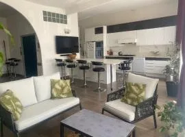 grand appartement sur canal a 2 pas du centre ville de Sète