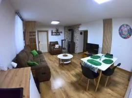 Zelený dom pri potoku