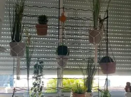 La casa d'isa