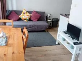 Hyper centre Strasbourg