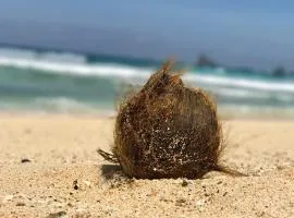 Studio at the Beach