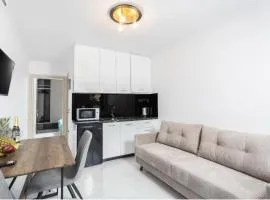 Victory VIP apartments