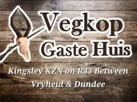 Vegkop Gaste Huis - B&B