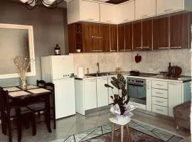 Contemporary & Cozy Apartment Berat