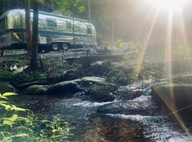 Streamside Airstream Near Hiking Rafting Fishing, glamping site in Cosby