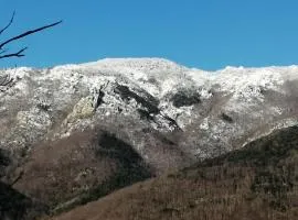 Le cortal super las illas