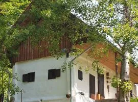 Ferienhaus Kellerstöckl Maja