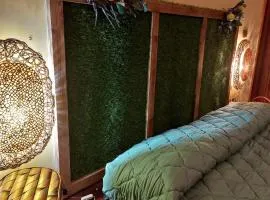 B&B Profumo di Bergamotto