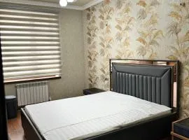 Your cozy home in Samarkand