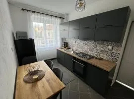 Apartmán u Šenků