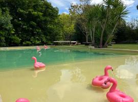 Le Patio, chambres d hôtes pour adultes en Camargue, possibilité de naturisme à la piscine,, B&B di Aimargues