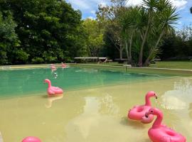 Le Patio, chambres d hôtes pour adultes en Camargue, possibilité de naturisme à la piscine,, hotel v destinaci Aimargues